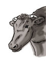 サムネイル：モノクロの牛
